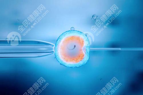 精子畸形能受孕吗