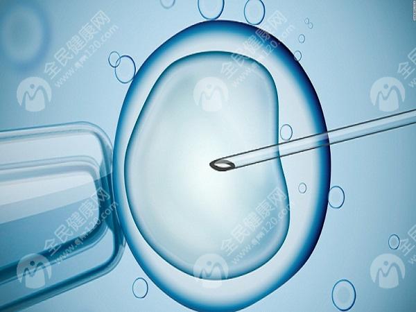 试管婴儿胚胎培养需要多长时间?