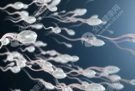 南宁试管婴儿费用大概要多少钱?