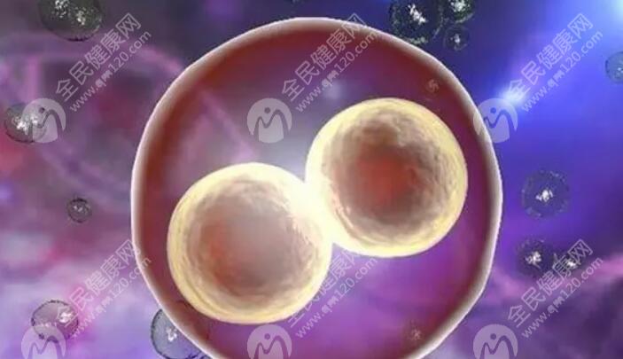 精子活力差做试管婴儿费用具体需要多少钱？