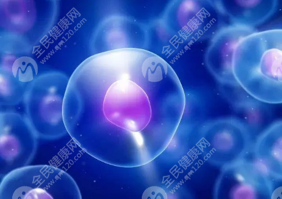 上海不需要结婚证的试管医院有吗?做试管需要哪些<em>证件</em>?