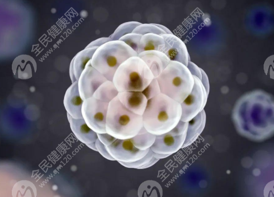 珠海第三代试管婴儿医院收费贵吗?成功率怎么样?