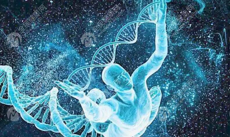 试管婴儿选择质量好的胚胎养囊还是差的？