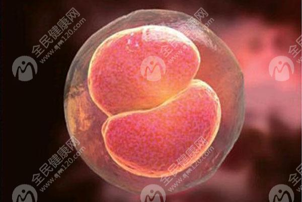 海口试管婴儿费用高不高?做海口试管婴儿要注意什么?