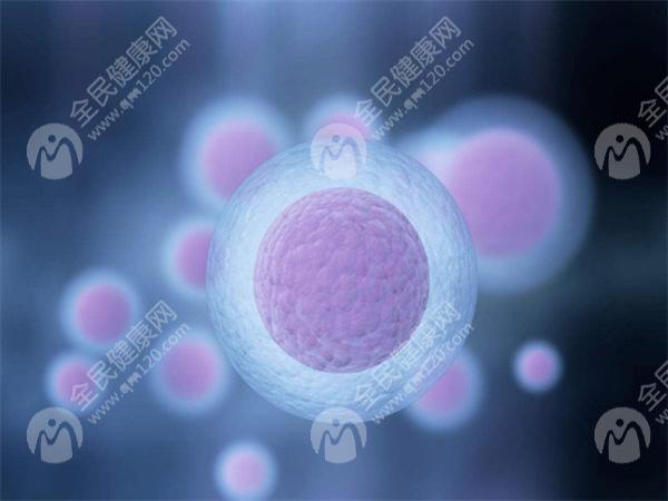 试管婴儿移植后多久可以测到怀孕？