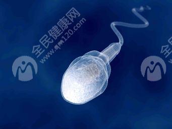 精子检查包括哪些项目呢？