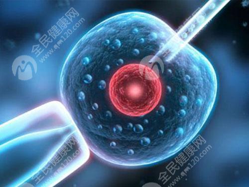 在宁波地区进行第三代试管一般需要几次才能成功？