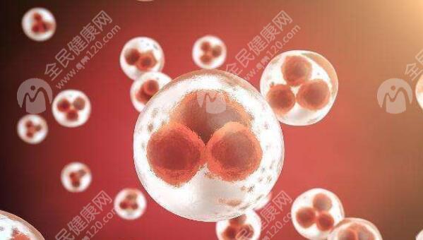 试管移植前宫腔灌注治疗是什么意思
