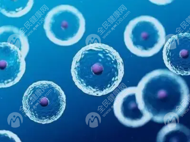2023年滨州附属医院做试管婴儿多少钱?一次试管多少钱?