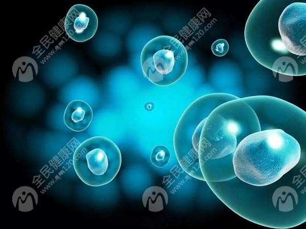 上海医学中心是一家专业从事生殖医学研究和临床应用的综合性医疗机构，也是国内较早开展人类辅助生殖技术(ART)的医院之一。目前，上海医学中心在试管婴儿领域有着丰富的经验和较高的成功率，那么上海医学中心做试管怎么样?一次试管成功率高吗?下面就为您介绍。