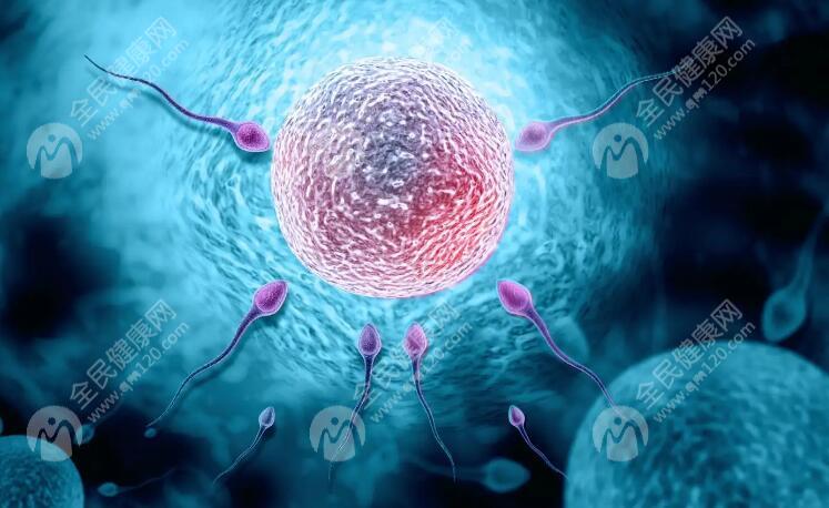 胚胎质量不好移植到女性宫腔后会变好吗？