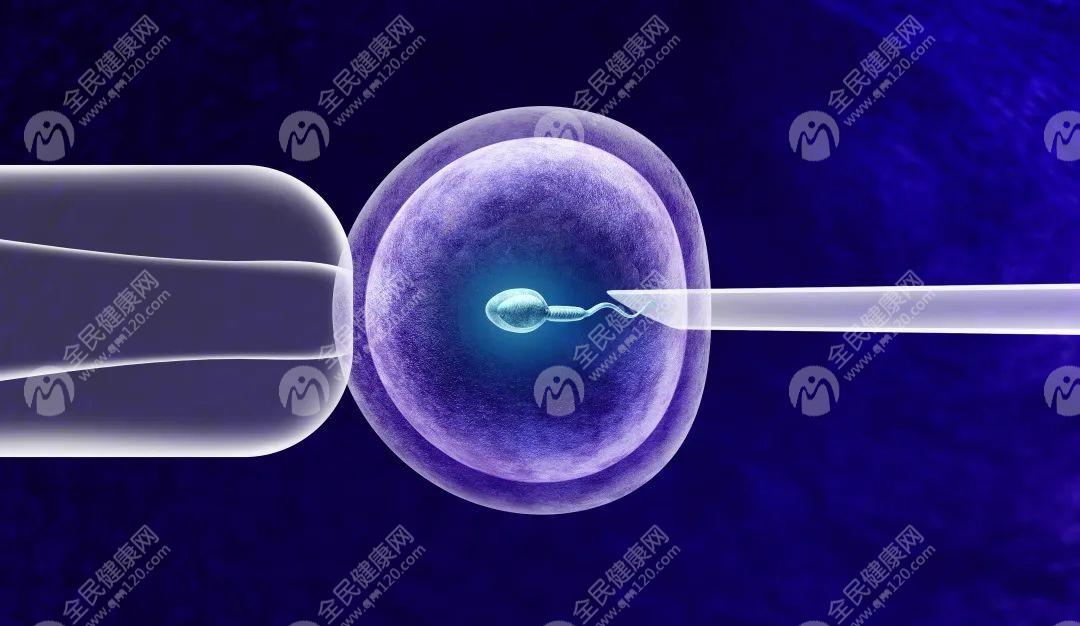 上海虹口区哪个医院做试管婴儿