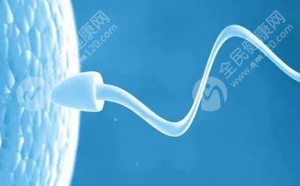 岳阳试管婴儿医院哪里高水准