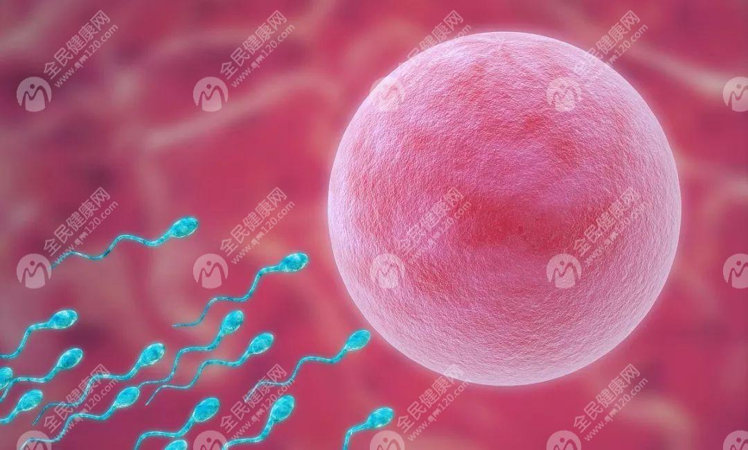 在温州地区，温州二院是一家备受信赖的医疗机构，其生殖医学中心在试管婴儿技术方面有着较高的优秀度和成功率。本文将详细介绍温州二院在试管婴儿领域的情况，包括医院实力、医生团队、技术优势以及试管婴儿成功率等方面的信息，帮助不孕不育夫妇更好地了解并选择该医院进行治疗。