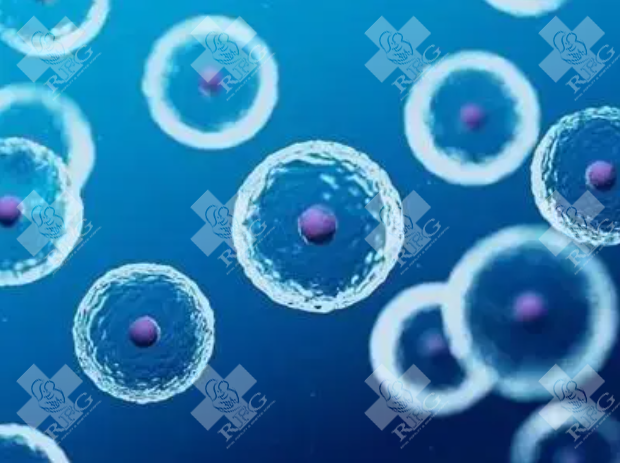 2023年新疆医科大学一附院试管婴儿成功率与助孕费用成为了关注的焦点。试管婴儿是一种辅助生育技术，能够帮助那些由于生理原因无法自然怀孕的夫妇实现生育梦想。在这篇科普文章中，我们将详细介绍新疆医科大学一附院的试管婴儿成功率以及相关的助孕费用预估。