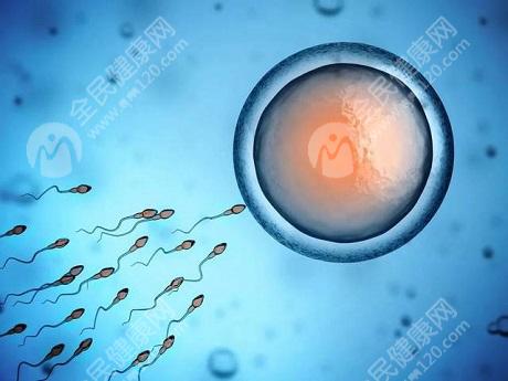 2023年南阳市失**庭做试管婴儿享有生育**吗?