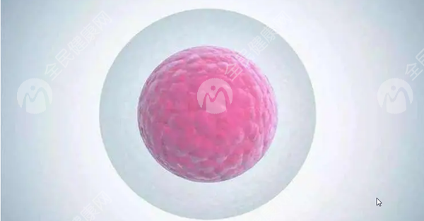 重庆北碚区哪里可以做试管婴儿
