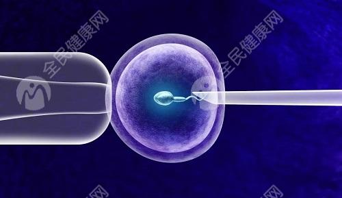 湖南试管婴儿医院有哪些?湖南试管婴儿医院哪家成功率高?