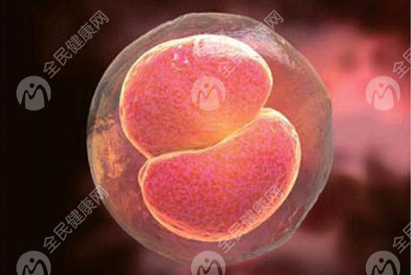 新疆试管婴儿医院哪家成功率高？新疆试管婴儿医院有哪些?