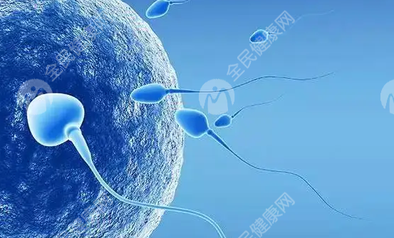 第三特需巢囊肿试管婴儿成功率怎么样?