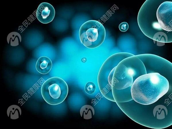 海口试管婴儿医院有那些?