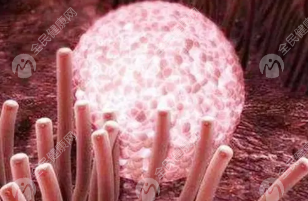 珠海试管婴儿医院有哪些?珠海试管婴儿医院哪个好?