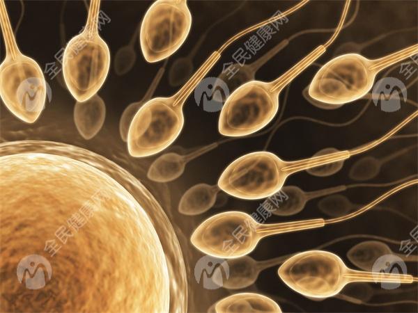 太原地区有哪些私立的机构可以做试管技术?2023试管婴儿医保报销**解读