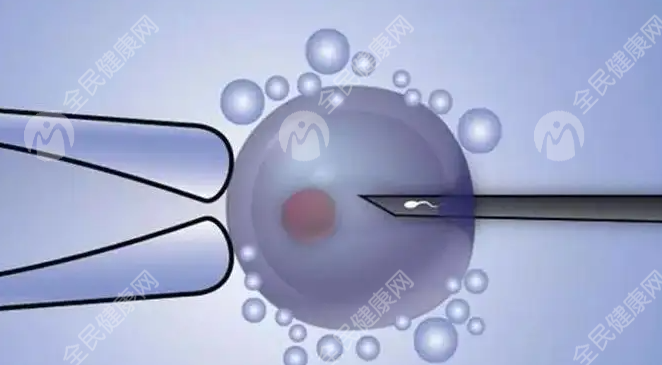 威海乳山市<em>哪里</em><em>可以</em>做试管婴儿呢？