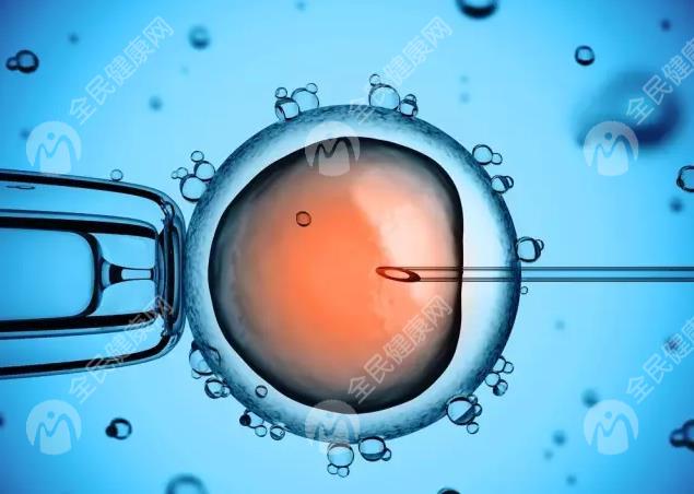 厦门地区有哪些私立的机构可以做试管技术?厦门174医院做试管胚胎3bb成功率高吗?