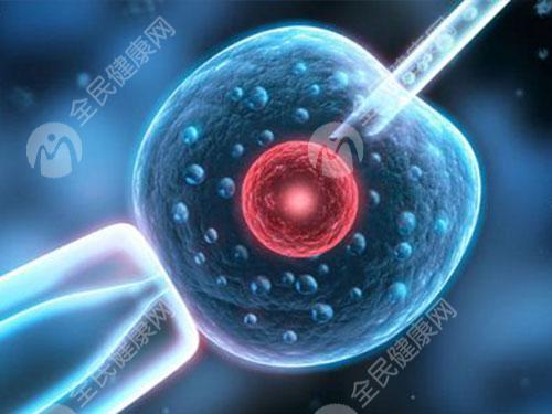 江门有哪些机构可以做第三代试管婴儿？费用贵吗？