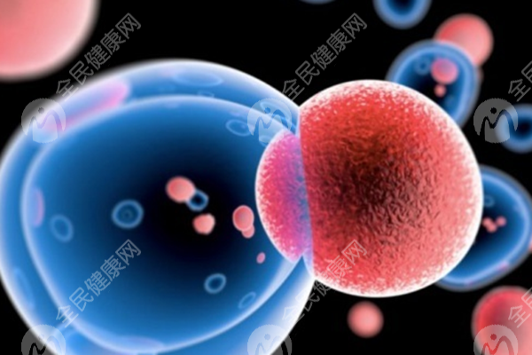 第 一次做试管子宫内膜太薄怎么办？喝肥玉竹养生保健两不误