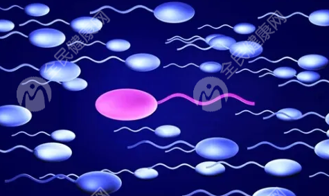 排卵期怎样才能怀孕?