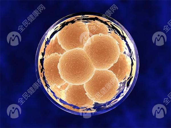 子宫腺肌症可以怀孕吗？子宫腺肌症做试管婴儿要多长时间？