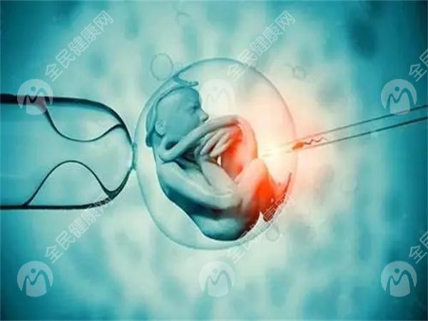 2024年广州养成三级囊胚的成功率高达50%！