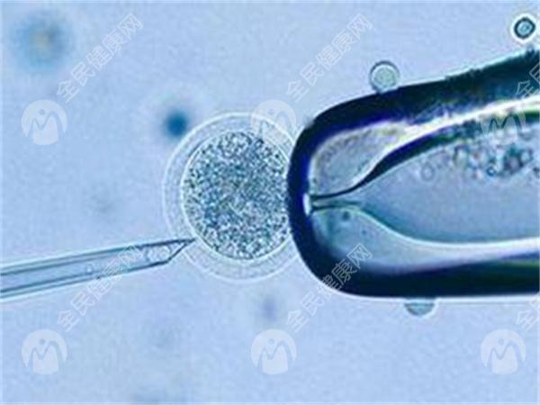 子宫腺肌症如何备孕？能做试管婴儿吗？