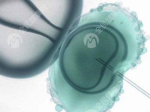 宁德做试管婴儿胚胎移植手术多少钱一次？有哪些流程步骤？