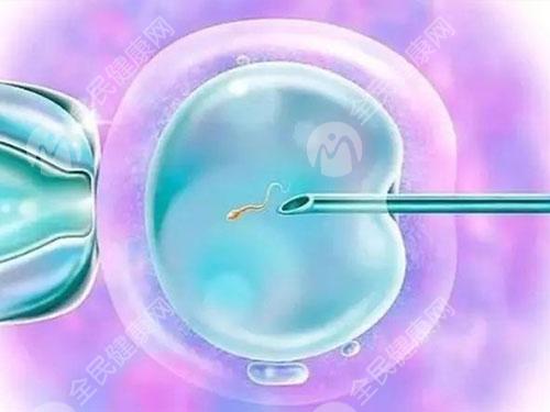 丽水做试管婴儿胚胎移植手术多少钱一次？有哪些流程步骤？