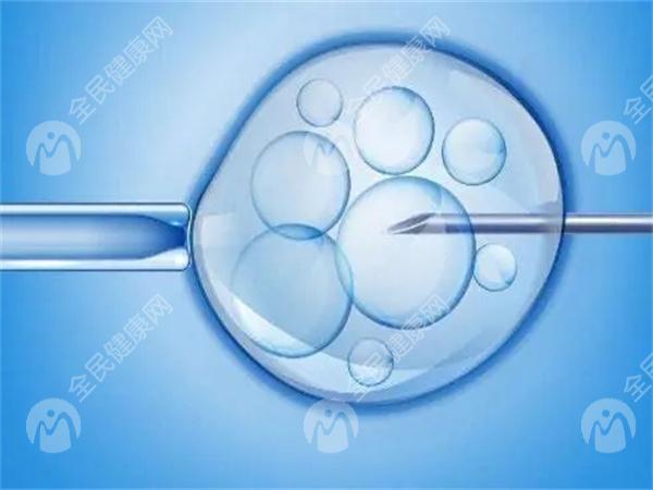 2024商丘机构做试管婴儿医院费用整理，需要多少钱看这里！