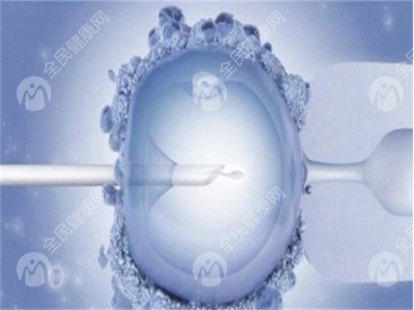 深圳私立医院做三代试管花费很高吗？这里解答你的费用疑问！