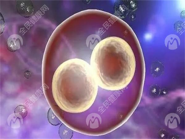 深圳医院试管成功率排名分享，这家医院成功率目前较高！