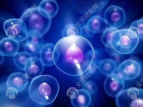 2024洛阳三代试管一共需要多少钱？九万够用吗？