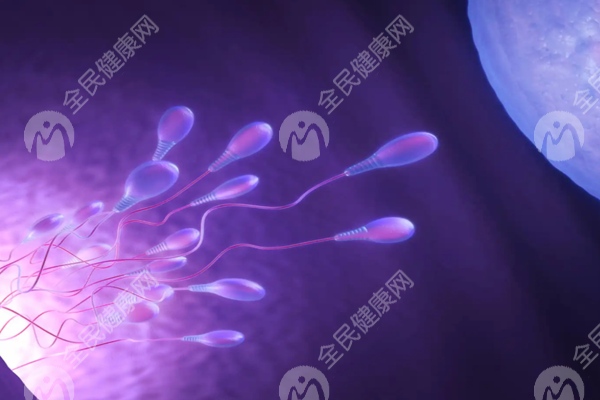 泰安新泰市试管婴儿哪家医院好?