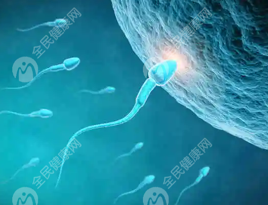 衡水安平县试管婴儿哪家做的好?