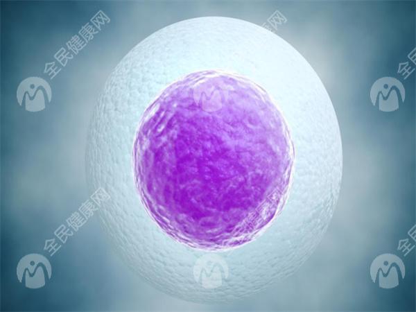 广州做三代试管婴儿的成功率一般多高？准备13万费用够吗？