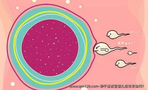 静宁县试管婴儿成功率如何？