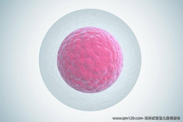 泉州试管婴儿费用解析