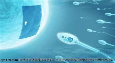 得过结核试管着床率高吗，结核患者试管移植费用明细及成功经验分享
