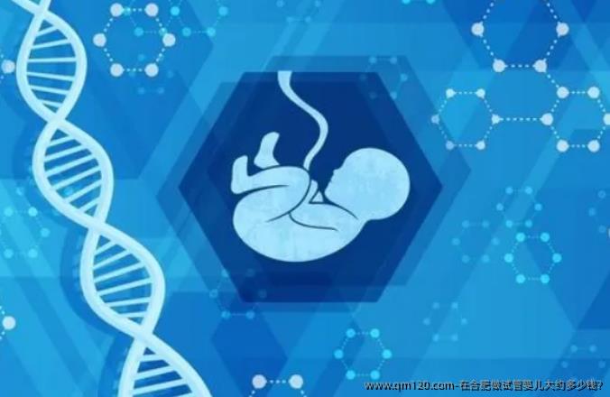 在合肥做试管婴儿大约多少钱?