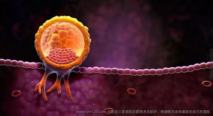 合肥这三家医院试管技术比较好，根据情况选择最适合自己的医院