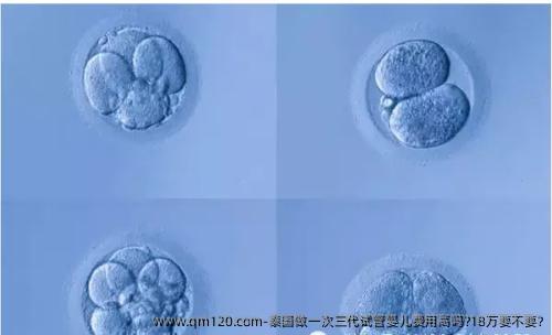 泰国做一次三代试管婴儿费用高吗?18万要不要?